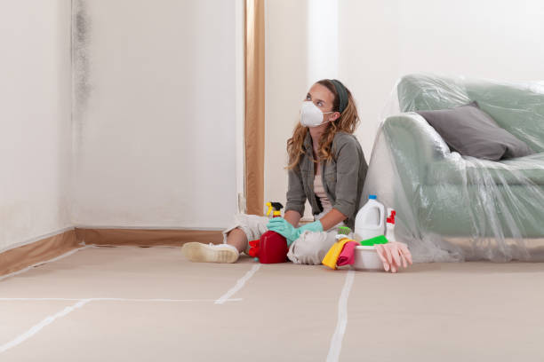 Reliable Mold Testing contractor in Stanwood, WA by WQB Mold Removal